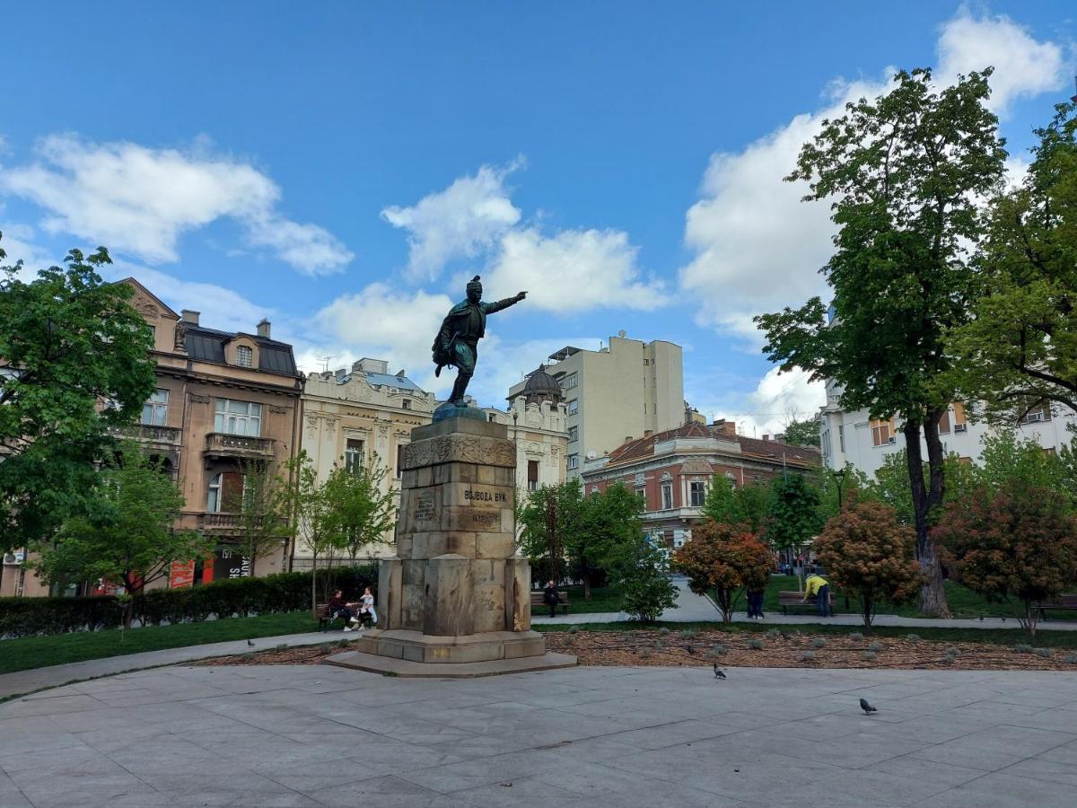 Lotta Apartment Belgrad Dış mekan fotoğraf