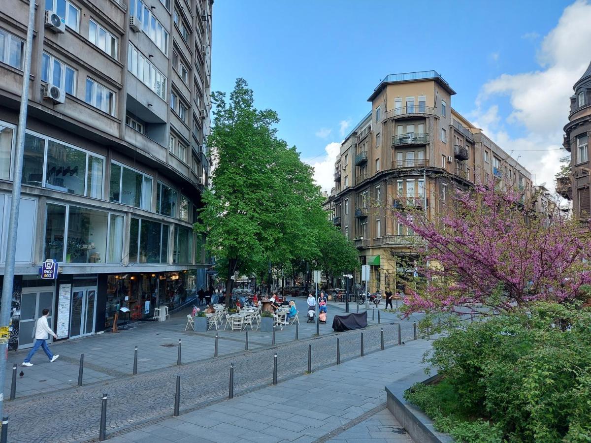 Lotta Apartment Belgrad Dış mekan fotoğraf